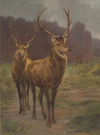 Monarchs Of The Forest