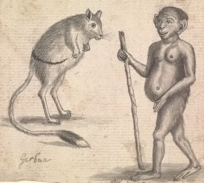Monkey 7
