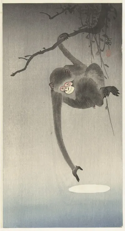 Monkey And Reflection Of The Moon