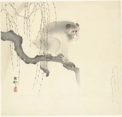 Monkey On Tree Branch