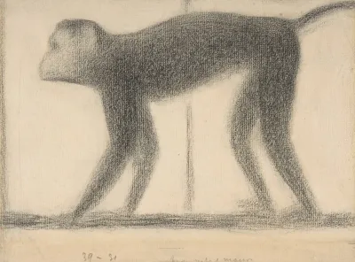 Monkey