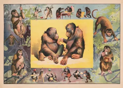 Monkeys At Play