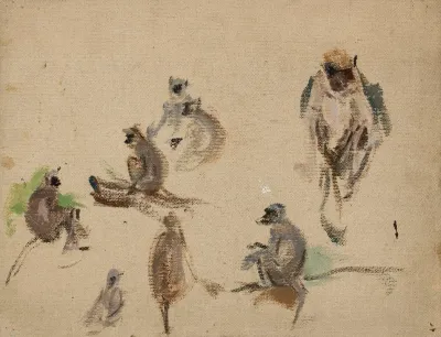 Monkeys From The Journey To India