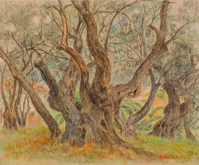 Monstrous Olive Tree