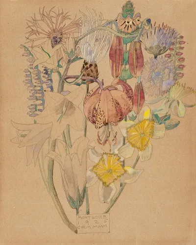Mont Louis Flower Study
