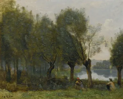 Montgeron Saulaie Au Bord De Leau