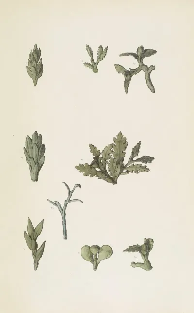 Monuments Antiques Dessines Pl 081
