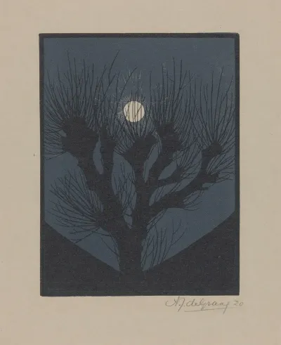 Moonlit Night 2