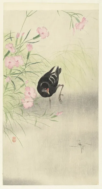 Moorhen At Flowering Plant
