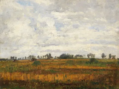 Moorlandschaft Bei Dachau