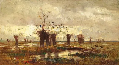 Moorlandschaft Mit Kopfweiden