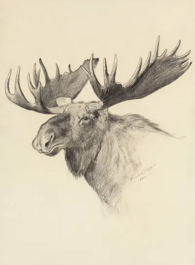 Moose Head