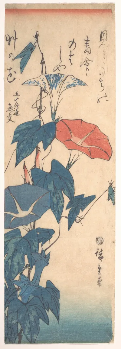 Morning Glories 4