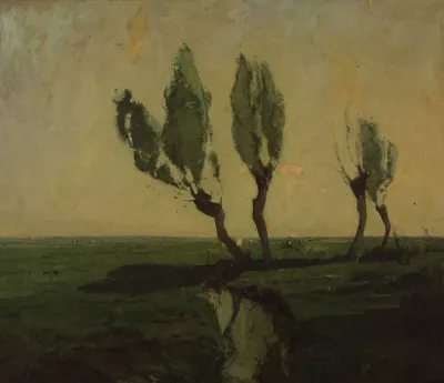 Morning In The Polders