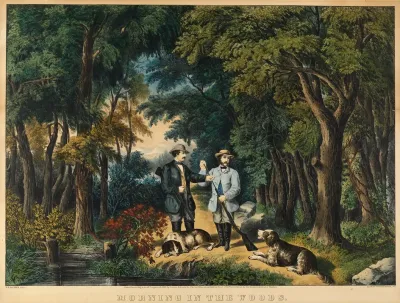 Morning In The Woods