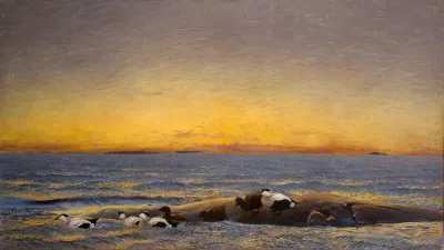 Morning Mood By The Sea