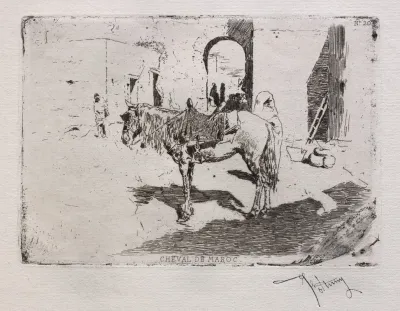 Moroccan Horse