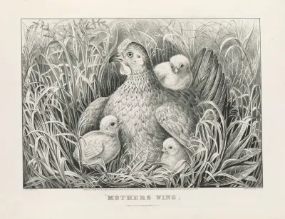Mothers Wing