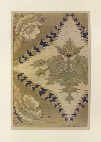 Motif Ornemental
