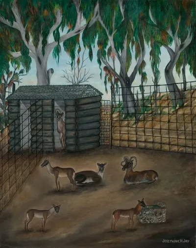 Moufflon Bobtailed Sheep