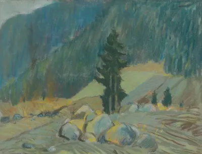 Mountain Brook Between Boulders