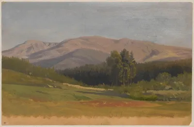 Mountain Landscape 45