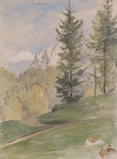 Mountain Landscape With Coniferous Trees