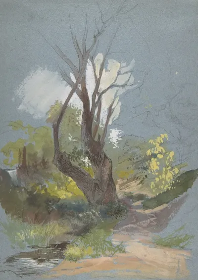 Mountain Path With A Tree