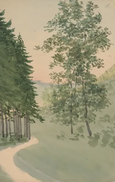 Mountain Path