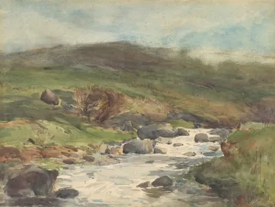 Mountain Stream Kaikoura