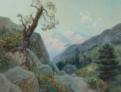 Mountain Trail