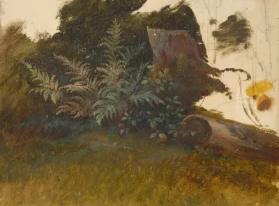 Mountain Vegetation