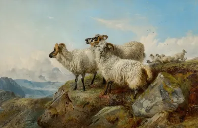 Mountainous Landscape With Sheep