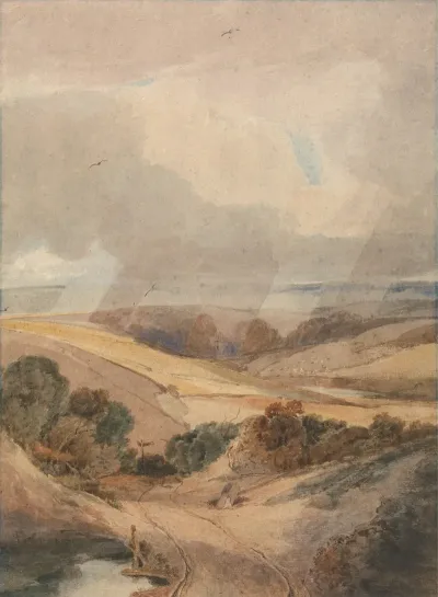 Mousehold Heath Norwich
