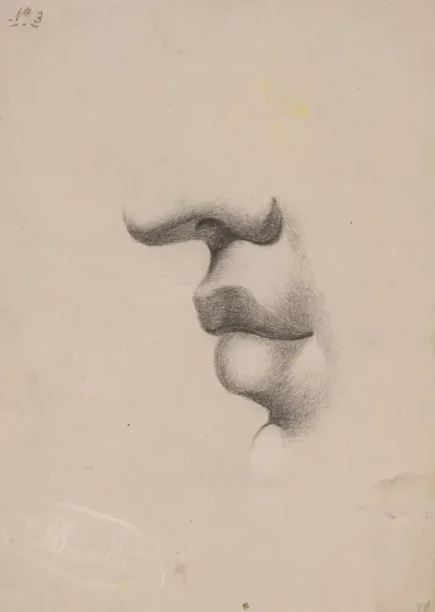 Mouth Study Facing Left No 3