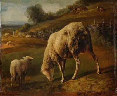 Moutons Et Brebis Au Paturage