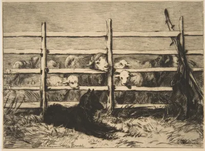 Moutons Parques