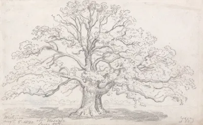 Mr Howards Large Oak August 5 1820