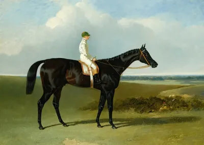 Mr Obriens Dark Bay Racehorse Jonathan Wild With Jockey T Ryder Up