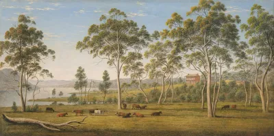 Mr Robinsons House On The Derwent Van Diemens Land