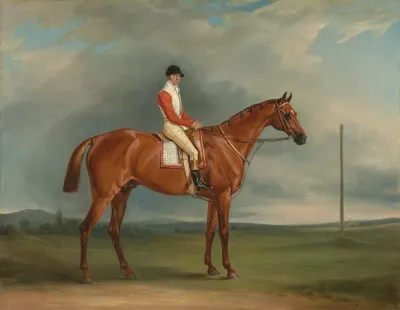Mr Sadlers Dangerous A Chestnut Racehorse With Chapple Up