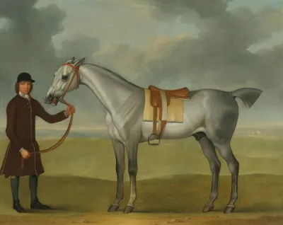 Mr Thomas Pantons Crab A Grey Racehorse Being Held By A Groom On Newmarket Heath