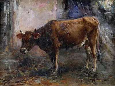 Mucca