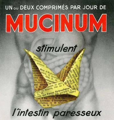 Mucinum 4