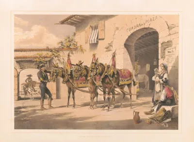 Mules Of The Plaza De Toros