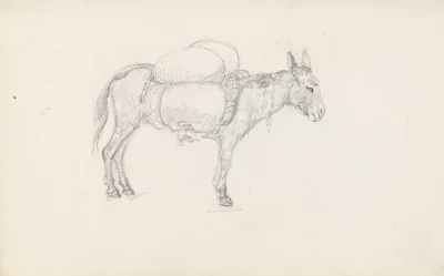 Mules