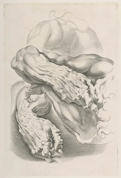 Muscles 2
