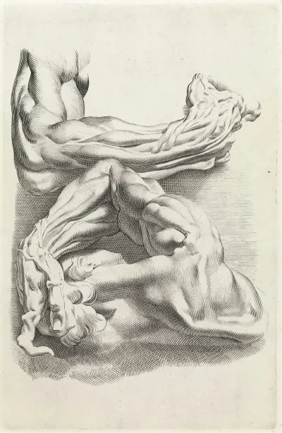 Muscles