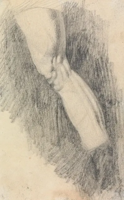 Muscular Study Of A Leg