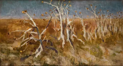 Musk Thistles